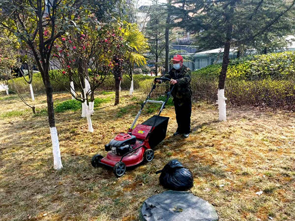 建設集團大秦置業公司：修剪養護植被為小區添“新裝”