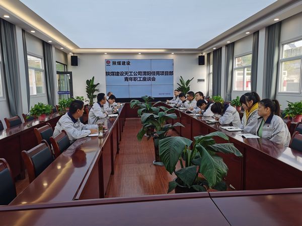 陜煤建設(shè)天工公司渭陽佳苑項目“復工復產(chǎn)+青年員工座談”顯芳華