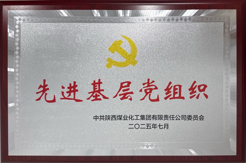 陜煤建設綠宇公司：榮獲陜煤集團“先進基層黨組織”稱號