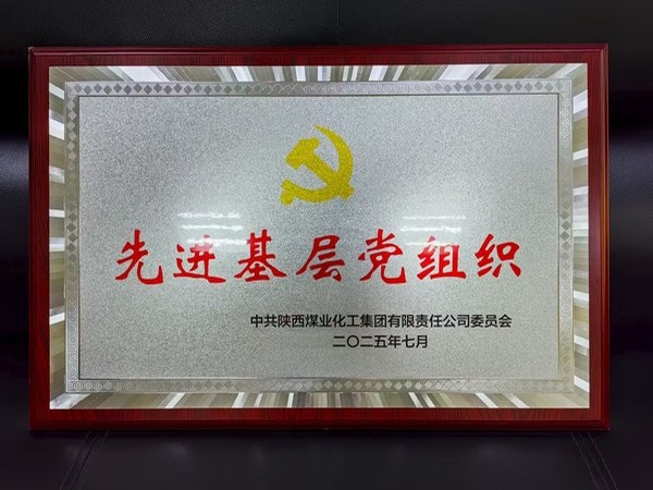 陜煤建設煤礦運營服務分公司黨總支榮獲陜煤集團“先進基層黨組織”稱號