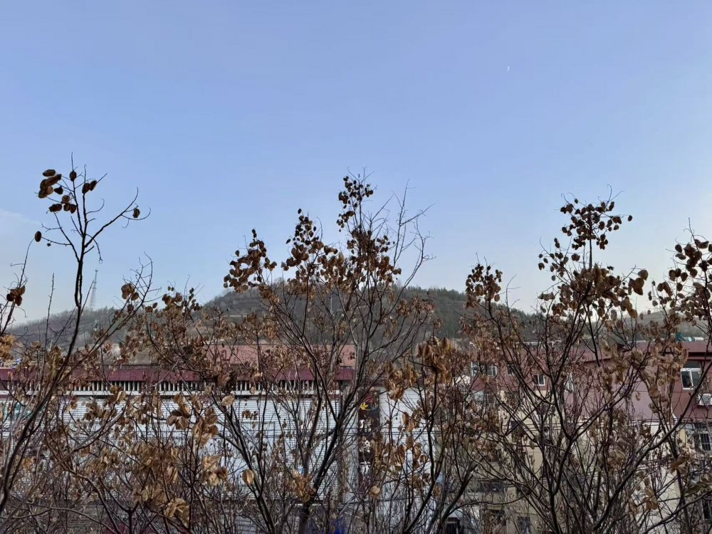 秋意漸濃時,回望來時路