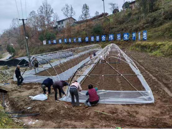 陜煤建設(shè)定點幫扶村：以“五化”實踐助力鄉(xiāng)村全面振興