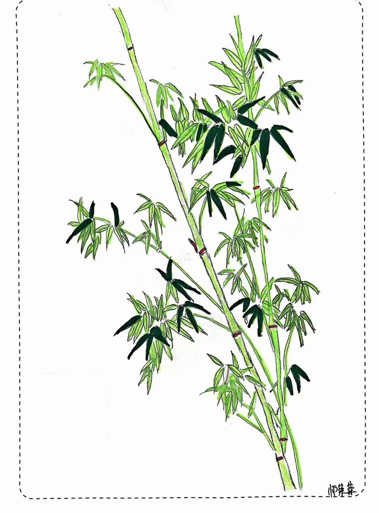 漫說(shuō)廉潔！這組“草木廉盟”太可了