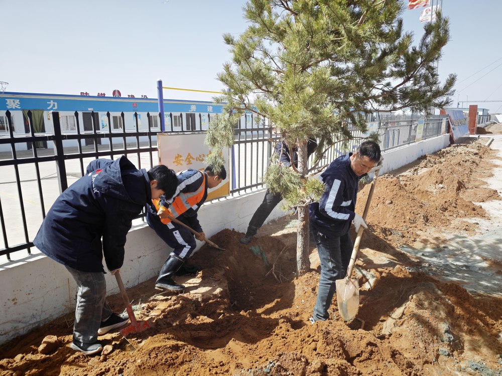 陜煤建設(shè)礦建三公司：植綠潤人心 聚力促實(shí)干